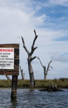 Disappearing Landscapes in Louisiana: When Google Maps Can’t Catch Up